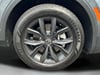 25 thumbnail image of  2024 Volkswagen Tiguan 2.0T SE