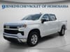 10 thumbnail image of  2025 Chevrolet Silverado 1500 LT