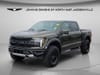 1 thumbnail image of  2025 Ford F-150 Raptor