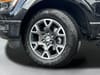 45 thumbnail image of  2025 Ford F-150 STX