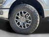 49 thumbnail image of  2025 Ford F-150 Tremor