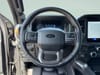 40 thumbnail image of  2025 Ford F-150 Tremor