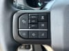 38 thumbnail image of  2025 Ford F-150 Tremor