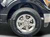 10 thumbnail image of  2025 Ford F-150 XLT