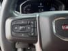 31 thumbnail image of  2025 GMC Sierra 1500 SLT