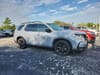 2 thumbnail image of  2025 Honda Pilot Black Edition