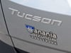17 thumbnail image of  2025 Hyundai Tucson SEL