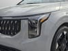 44 thumbnail image of  2025 Kia Carnival EX