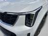 13 thumbnail image of  2025 Kia Sorento S