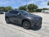 2025 Lexus NX 350 Luxury