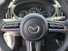 39 thumbnail image of  2025 Mazda CX-50 2.5 S Premium Plus Package