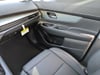 25 thumbnail image of  2025 Nissan Murano SL
