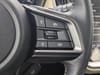 26 thumbnail image of  2025 Subaru Outback Limited XT