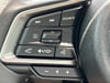 29 thumbnail image of  2025 Subaru Outback Premium