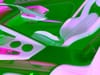 15 thumbnail image of  2026 Chevrolet Corvette Stingray