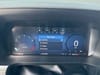 39 thumbnail image of  2026 Ford F-150 XLT