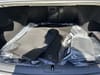 15 thumbnail image of  2026 Genesis G80 2.5T