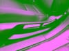 24 thumbnail image of  2026 Honda Civic LX