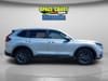 2 thumbnail image of  2026 Honda CR-V EX-L