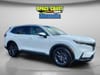 12 thumbnail image of  2026 Honda CR-V EX-L