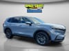 12 thumbnail image of  2026 Honda CR-V EX-L
