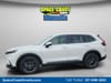 9 thumbnail image of  2026 Honda CR-V EX-L