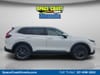 2 thumbnail image of  2026 Honda CR-V EX-L