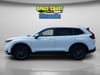 7 thumbnail image of  2026 Honda CR-V EX-L
