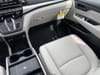 34 thumbnail image of  2026 Honda Odyssey EX-L