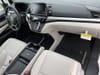 34 thumbnail image of  2026 Honda Odyssey EX-L