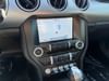 14 thumbnail image of  2021 Ford Mustang EcoBoost Premium