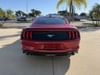 4 thumbnail image of  2021 Ford Mustang EcoBoost Premium