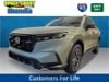 7 thumbnail image of  2026 Honda CR-V Hybrid TrailSport