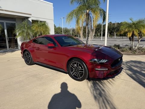 1 image of 2021 Ford Mustang EcoBoost Premium