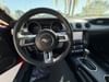 10 thumbnail image of  2021 Ford Mustang EcoBoost Premium