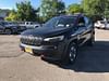 2 thumbnail image of  2019 Jeep Cherokee Trailhawk