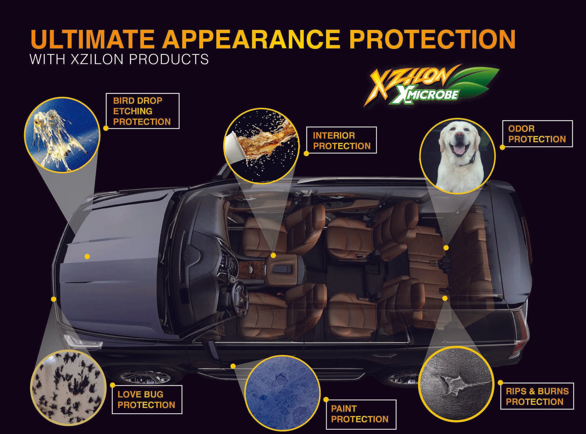 Xzilon ad shows a blue SUV from above, surrounded by images and labels for bird-drop etching, interior, odor, love-bug, paint, and burn protection.