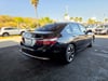 9 thumbnail image of  2016 Honda Accord EX-L