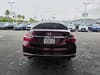 6 thumbnail image of  2017 Honda Accord EX-L