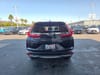 10 thumbnail image of  2017 Honda CR-V EX-L