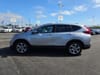 22 thumbnail image of  2017 Honda CR-V EX-L