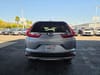 7 thumbnail image of  2017 Honda CR-V EX-L