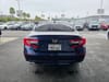 12 thumbnail image of  2019 Honda Accord EX