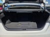 17 thumbnail image of  2019 Toyota Camry XLE