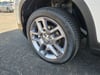 23 thumbnail image of  2023 Honda Passport EX-L