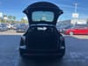 15 thumbnail image of  2023 Tesla Model Y Performance