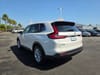 10 thumbnail image of  2024 Honda CR-V EX