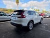 10 thumbnail image of  2025 Honda CR-V EX-L