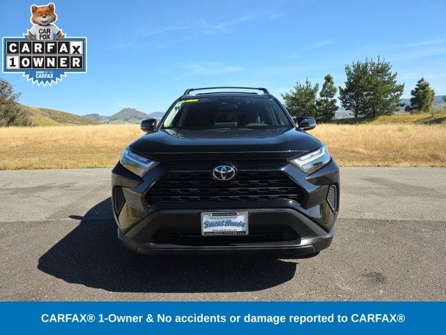 2025 Toyota RAV4 XLE - Photo 3