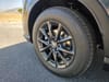 10 thumbnail image of  2026 Honda CR-V EX-L